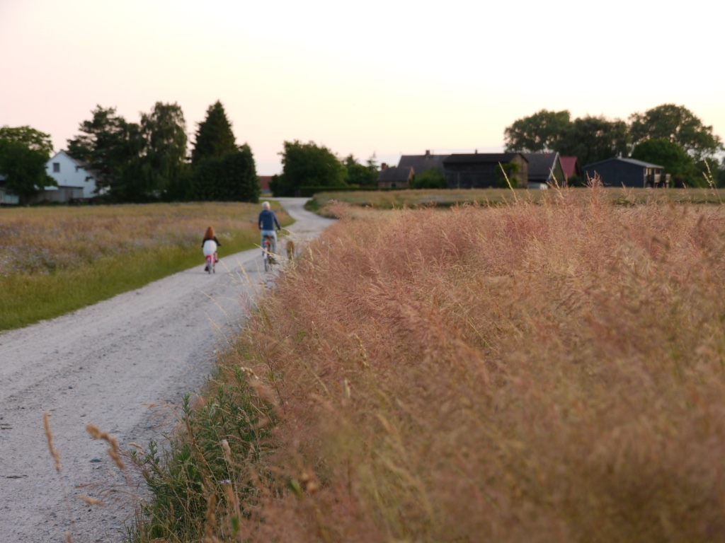 ... entspannende Radtouren entlang des Achterwasserufers über den Lyonell Feininger Radweg ...